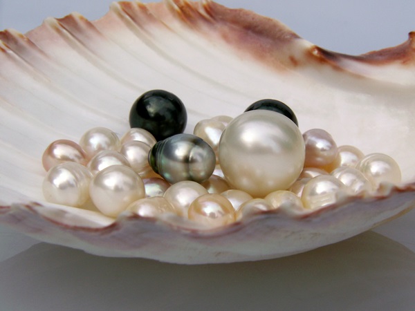 perles de culture differentes couleurs