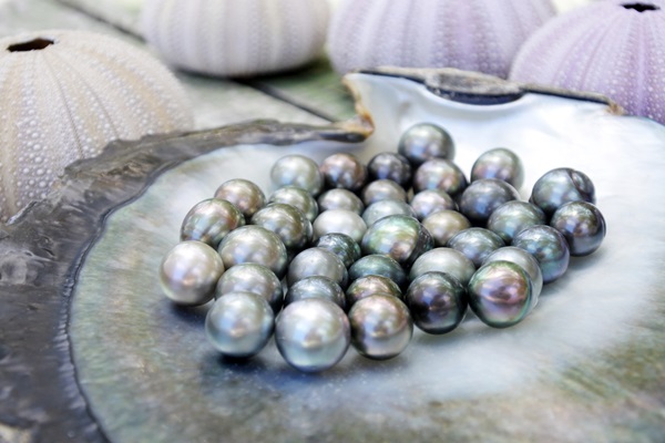 perles de tahiti differentes couleurs