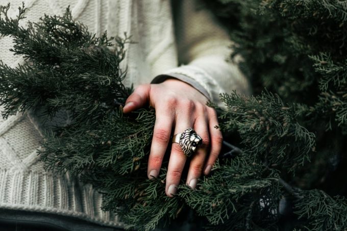la bague tete de lion un anneau bestial