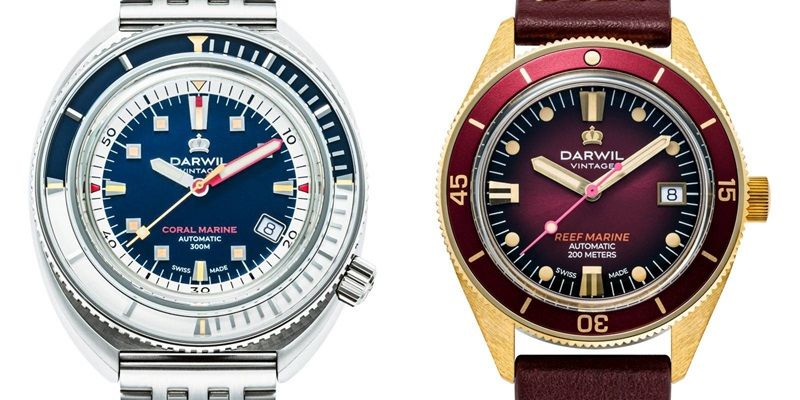 montre darwil marine coral marine reef marine